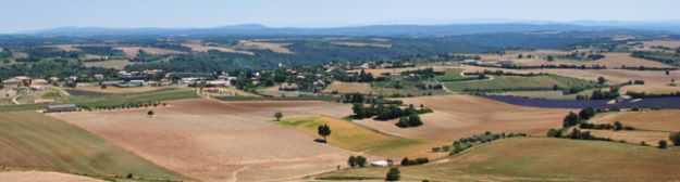 Mas de Trotte-Vache - Plateau de Valensole - Provence