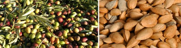 Mas de Trotte-Vache - Olives & amandes de Provence