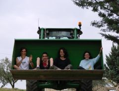 Ballade en tracteur