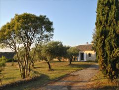 Mas de Trotte-Vache - Entrée