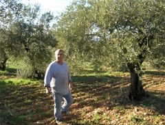 Mas de Trotte-Vache - Verger d'olivier